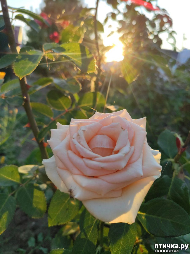  9:  