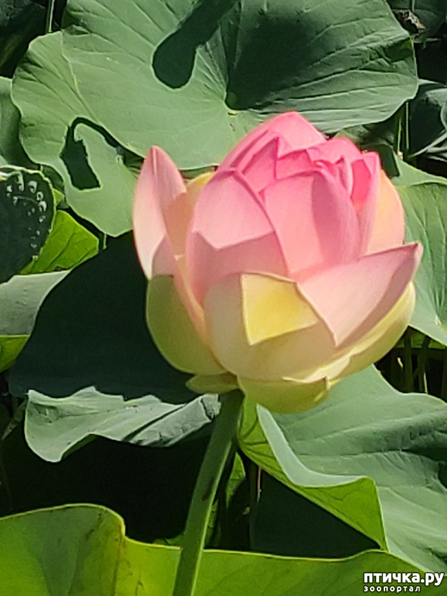  25:  