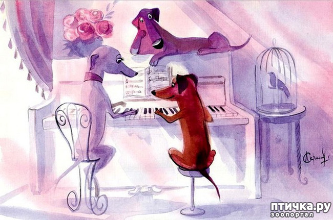  11:    