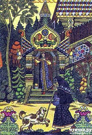  12:    
