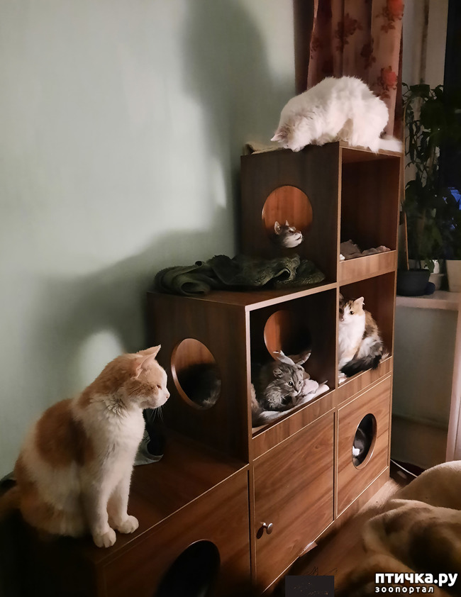  12:  - 