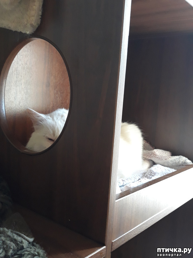  13:   ...  