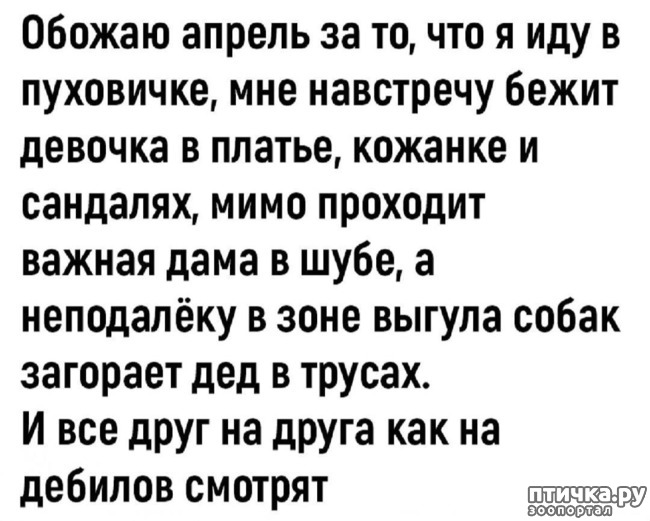 фото 3: Апрель