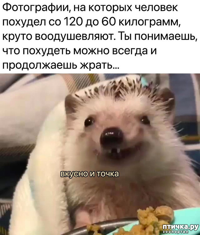 фото 6: Апрель
