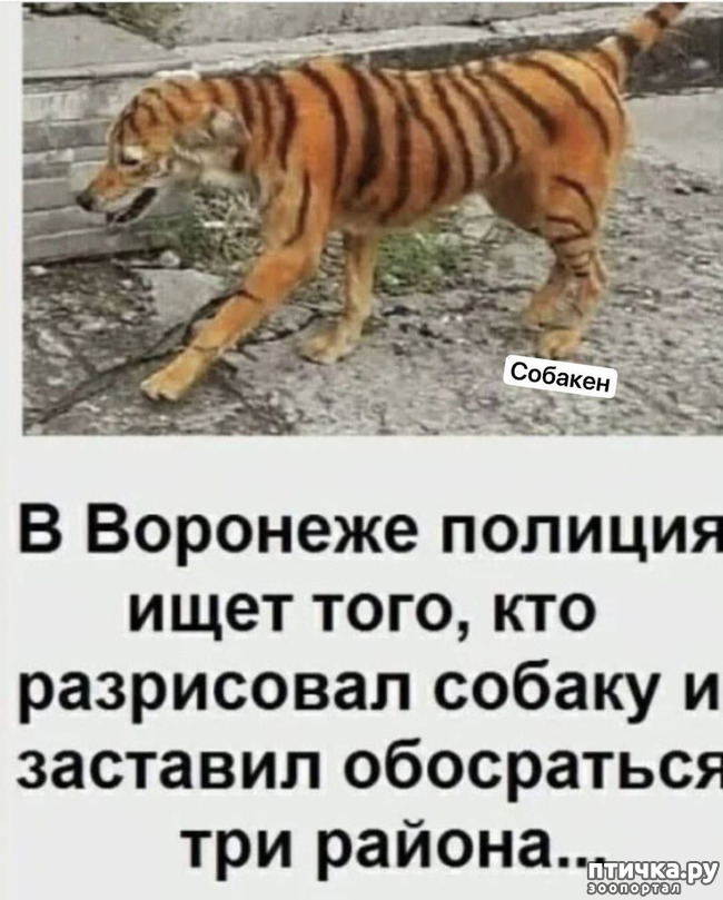 фото 8: Апрель