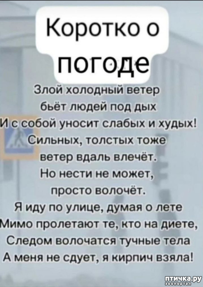 фото 2: Апрель