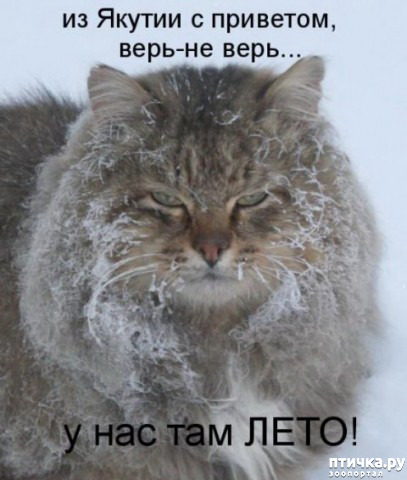  14:  -  ... (  )