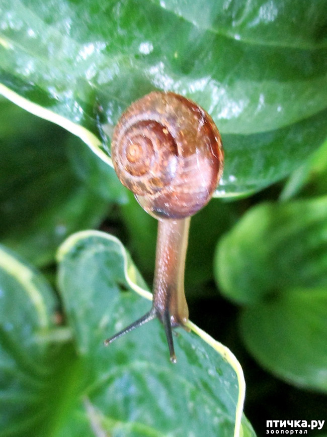  2:  