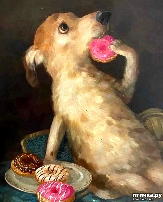  6:   