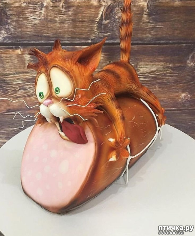  1:     ,      .