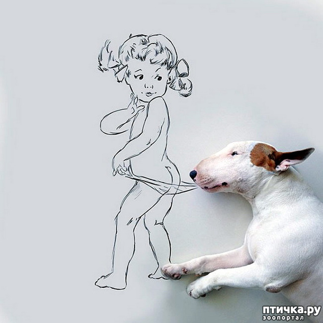  6:   