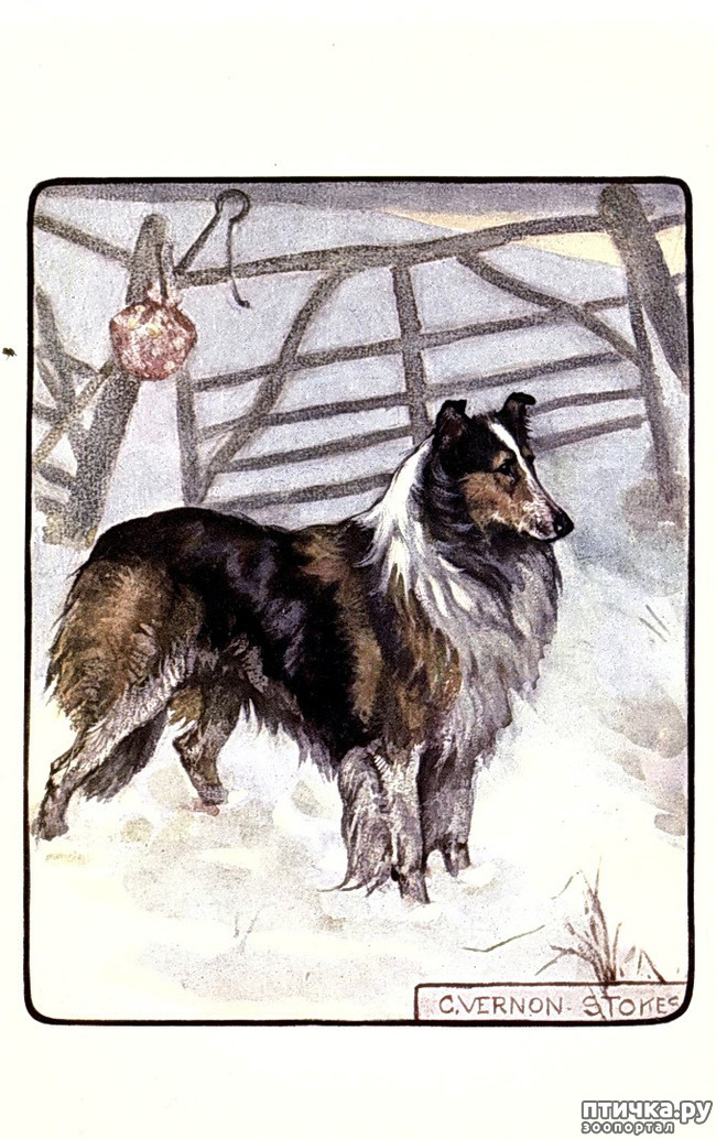  3:    