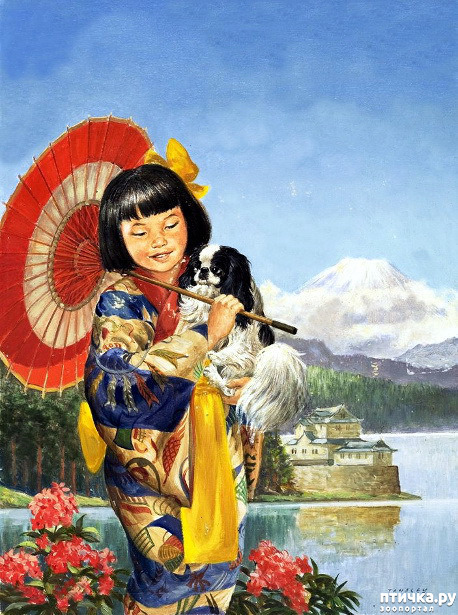  17:    