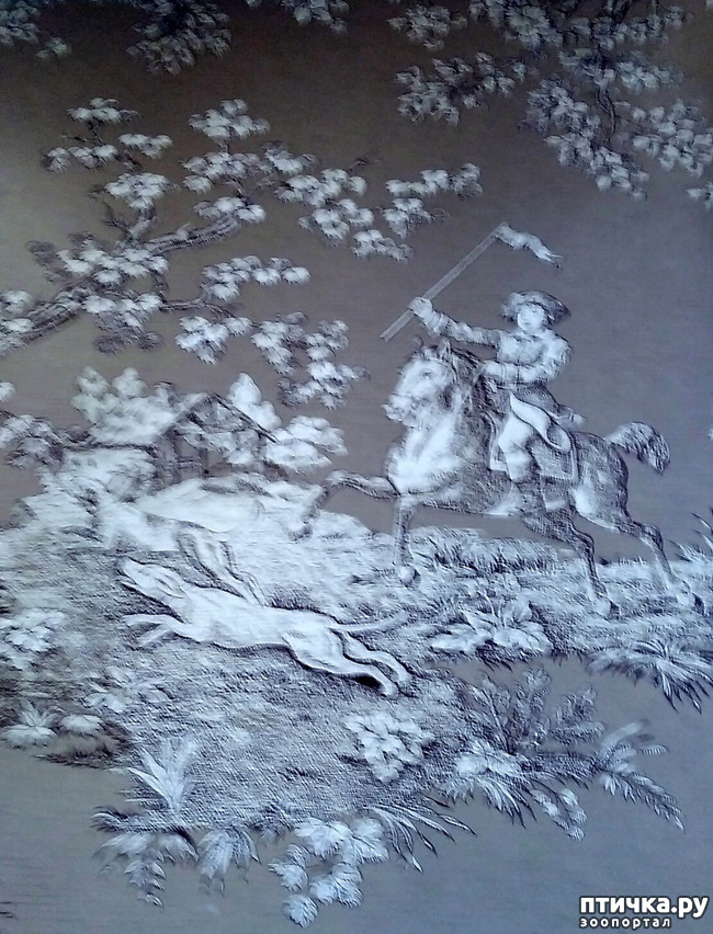  3:  