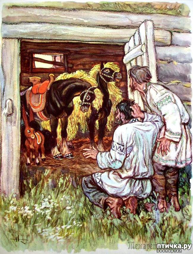  5:    