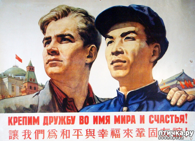 фото 1: Русский с китайцем - братья навек!