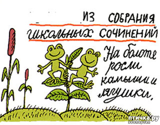 фото 1: Школьный двор