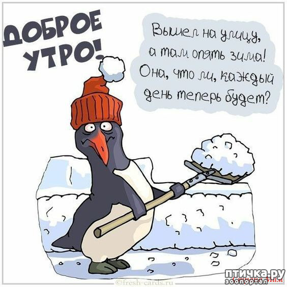 фото 2: С зимней пятницей!