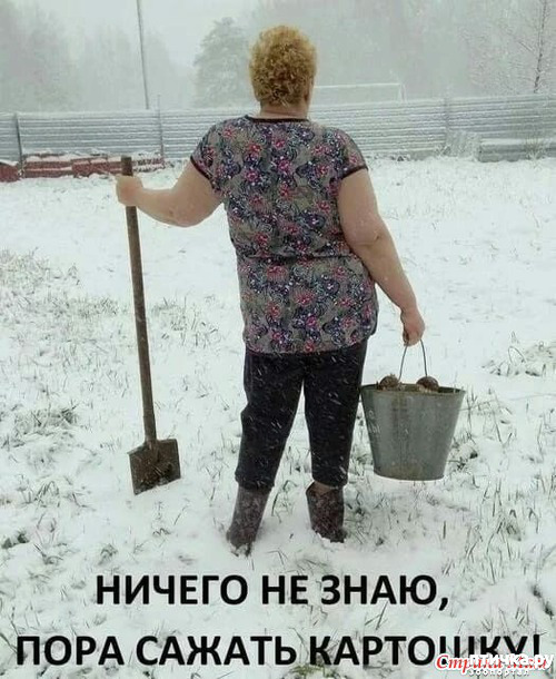 фото 4: С зимней пятницей!
