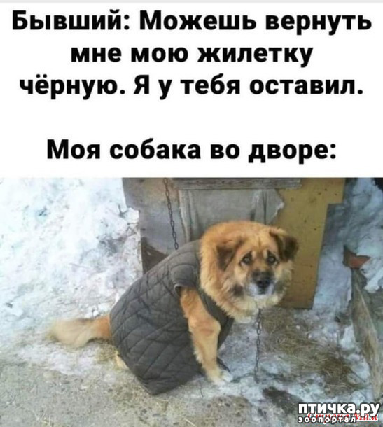 фото 10: С зимней пятницей!