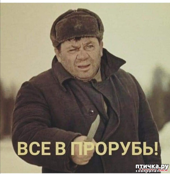 фото 14: С зимней пятницей!