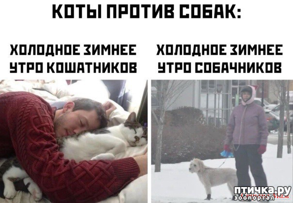 фото 17: С зимней пятницей!