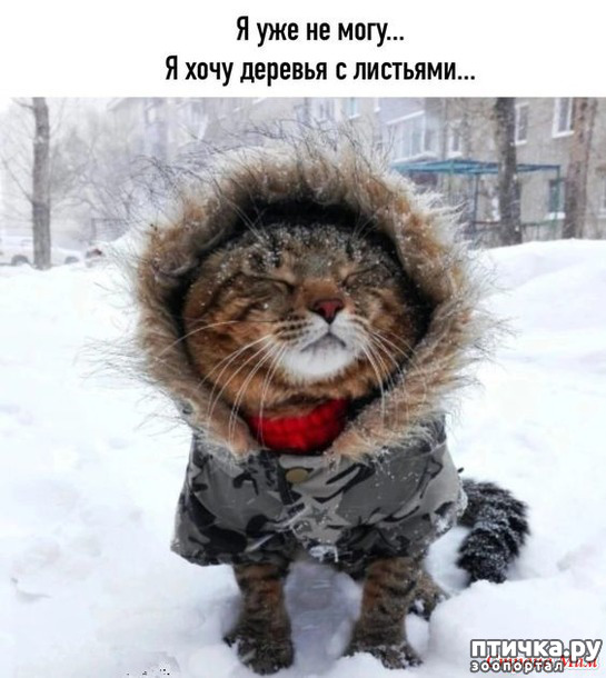 фото 18: С зимней пятницей!