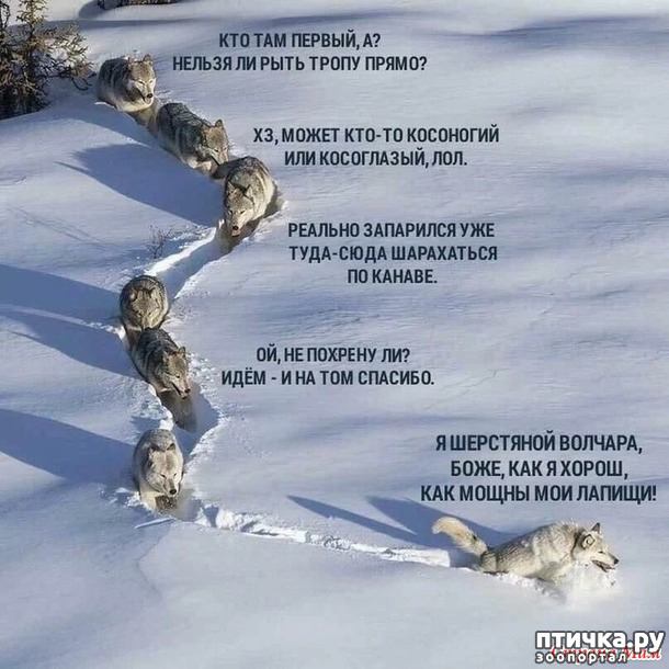 фото 27: С зимней пятницей!
