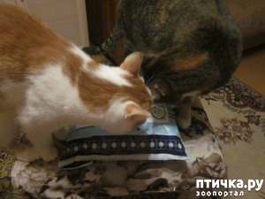 фото: ЛУЧШЕ ПОЗДНО, ЧЕМ НИКОГДА