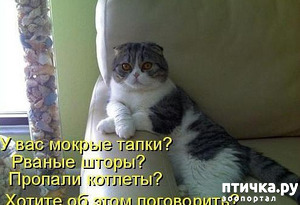 :      ?