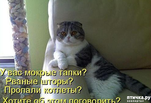  1:      ?
