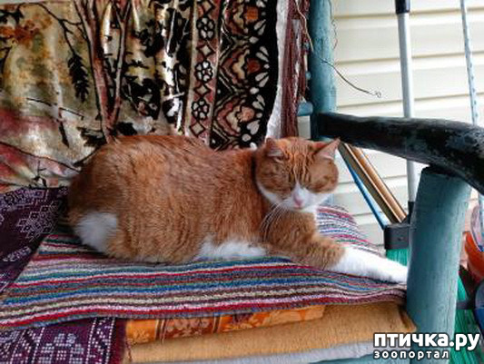 ���� 1: ������������ � ������� ����. ��������.