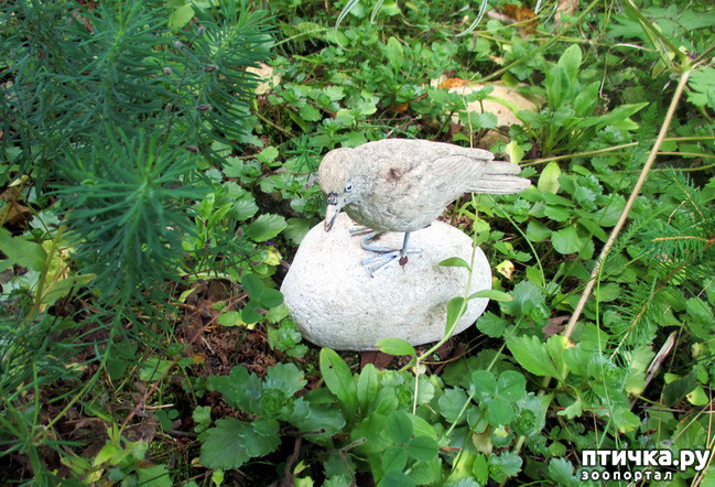 ���� 17: ������������ � ������� ����. ��������.