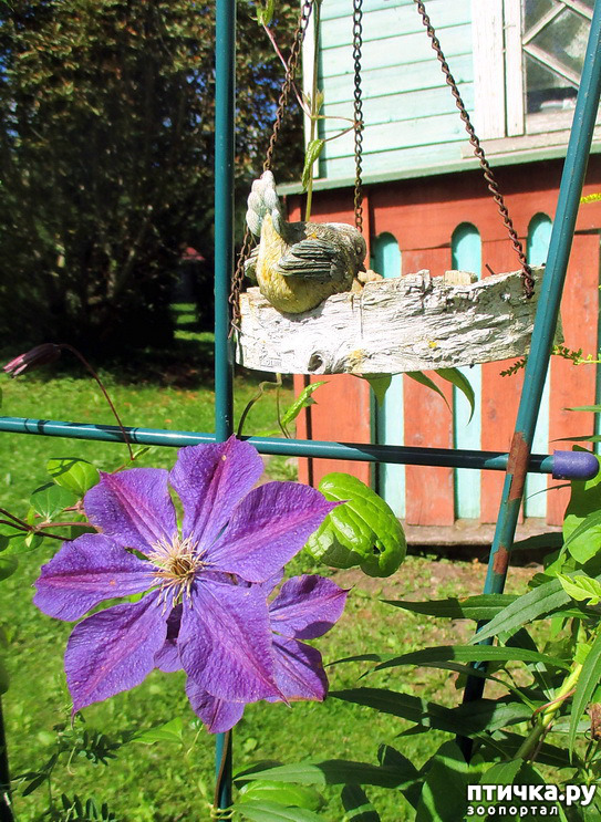 ���� 18: ������������ � ������� ����. ��������.