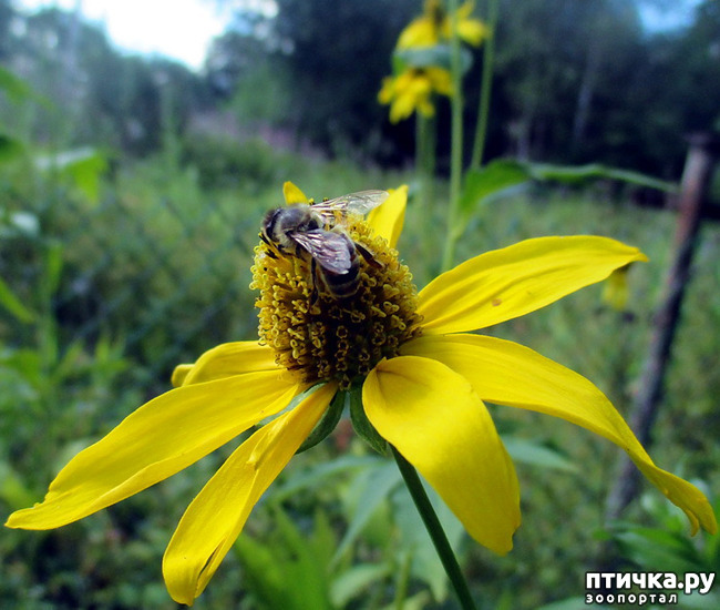 ���� 2: ������������ � ������� ����. ��������.