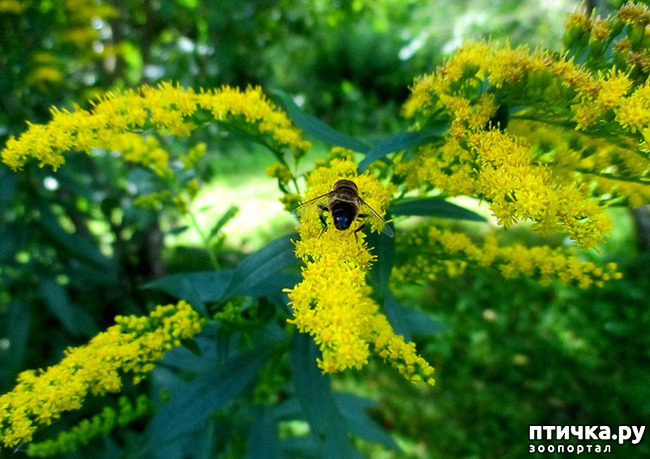 ���� 3: ������������ � ������� ����. ��������.