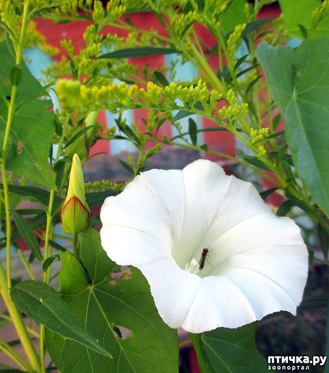 ���� 5: ������������ � ������� ����. ��������.