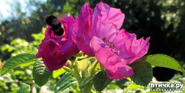 ���� 6: ������������ � ������� ����. ��������.