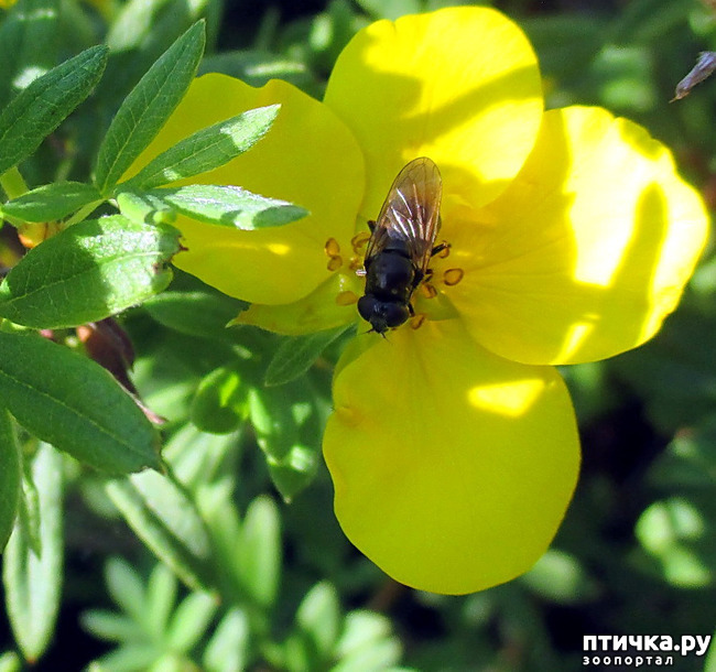 ���� 7: ������������ � ������� ����. ��������.