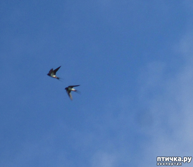 ���� 14: ������������ � ������� ����. ��������.