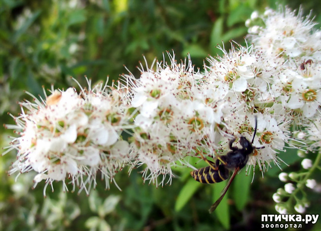 ���� 8: ������������ � ������� ����. ��������.