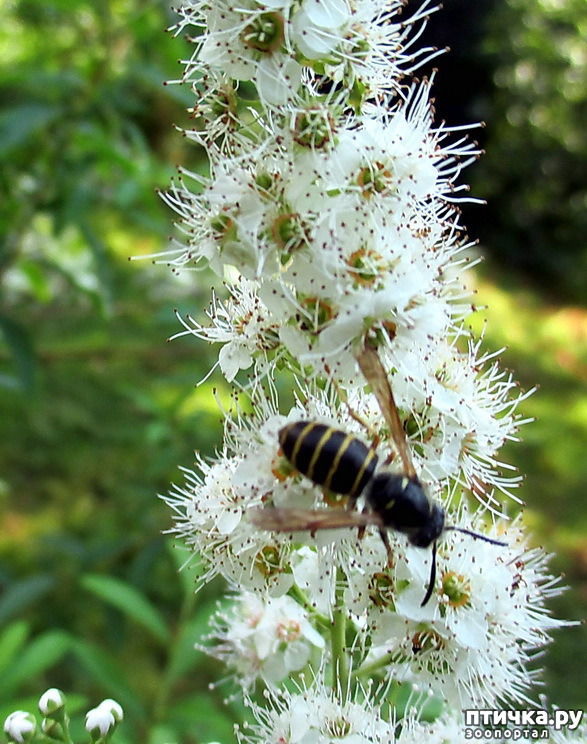 ���� 9: ������������ � ������� ����. ��������.