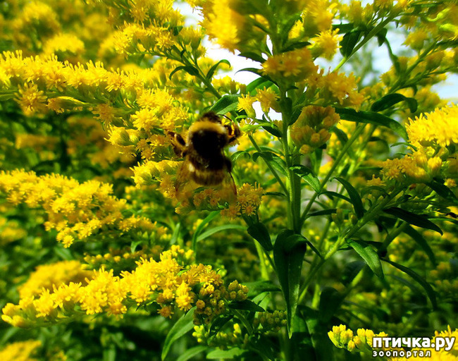 ���� 10: ������������ � ������� ����. ��������.