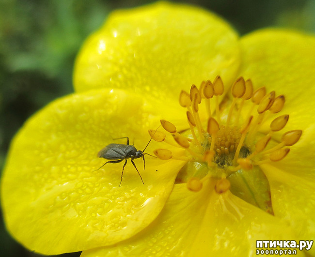 ���� 11: ������������ � ������� ����. ��������.