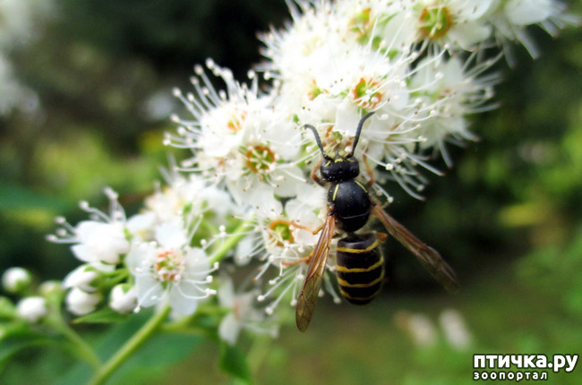 ���� 12: ������������ � ������� ����. ��������.