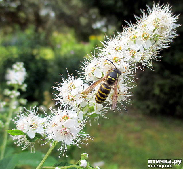 ���� 13: ������������ � ������� ����. ��������.