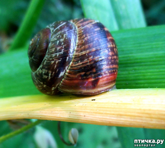 ���� 16: ������������ � ������� ����. ��������.