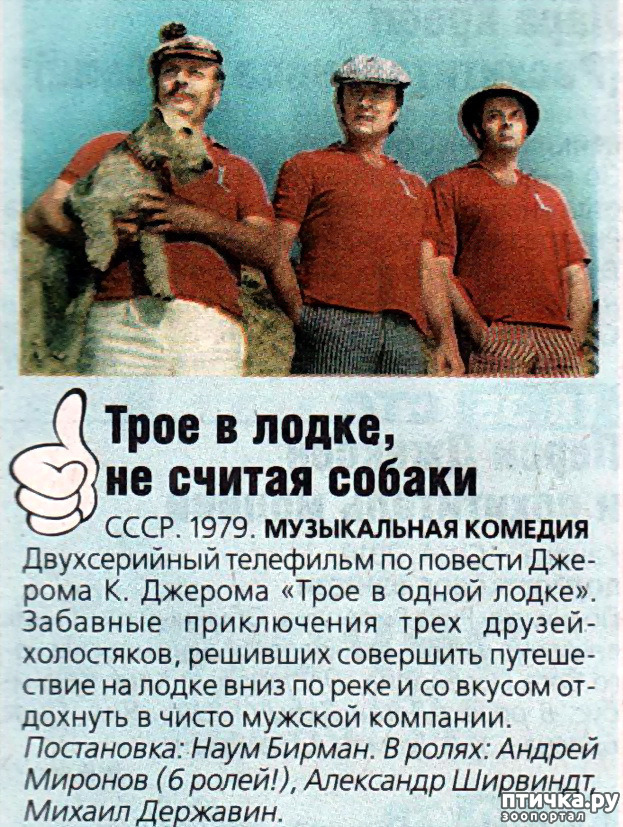  9:   