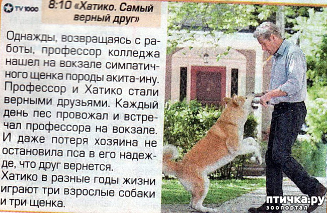  13:   