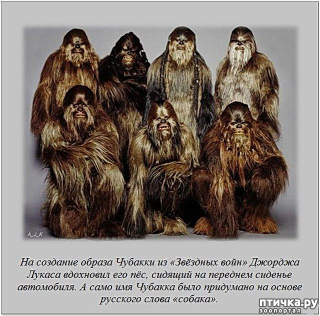  19:   